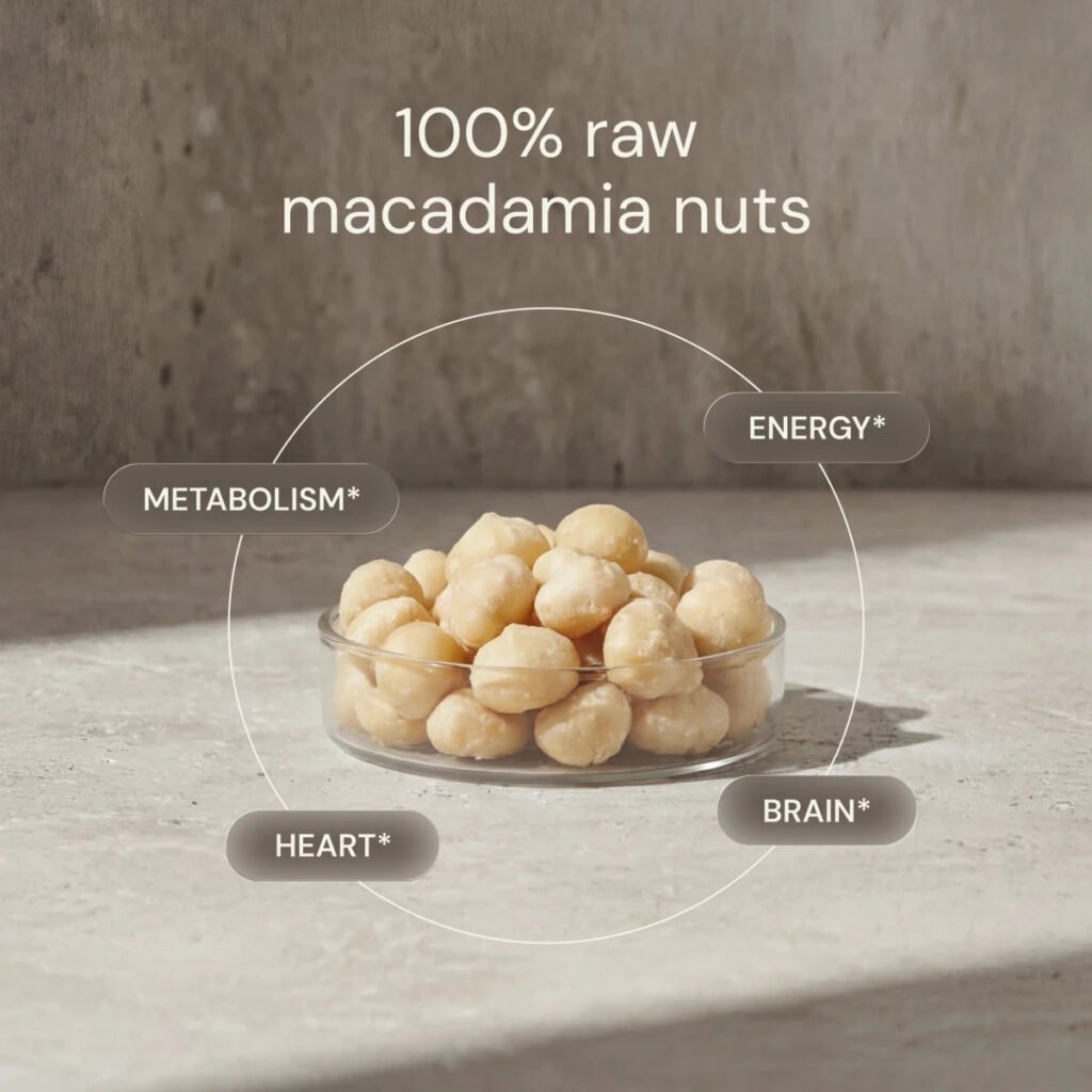 Raw Macadamia Nuts Heart Brain Energy Support