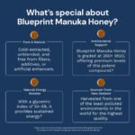 What Makes Blueprint Honey Special