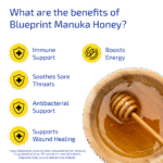Manuka Honey Benefits Overview
