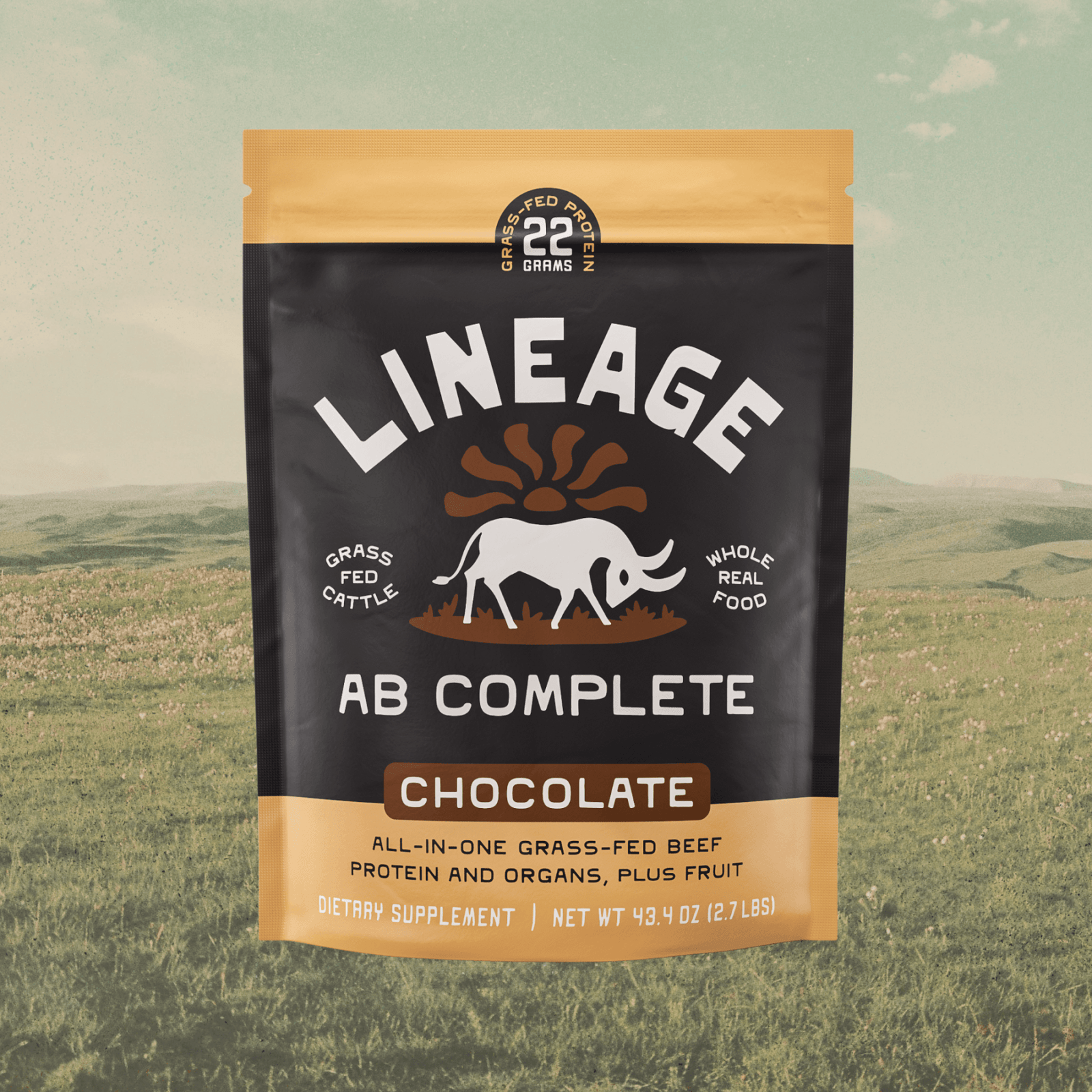 Animal-Based Complete Protein Chocolate