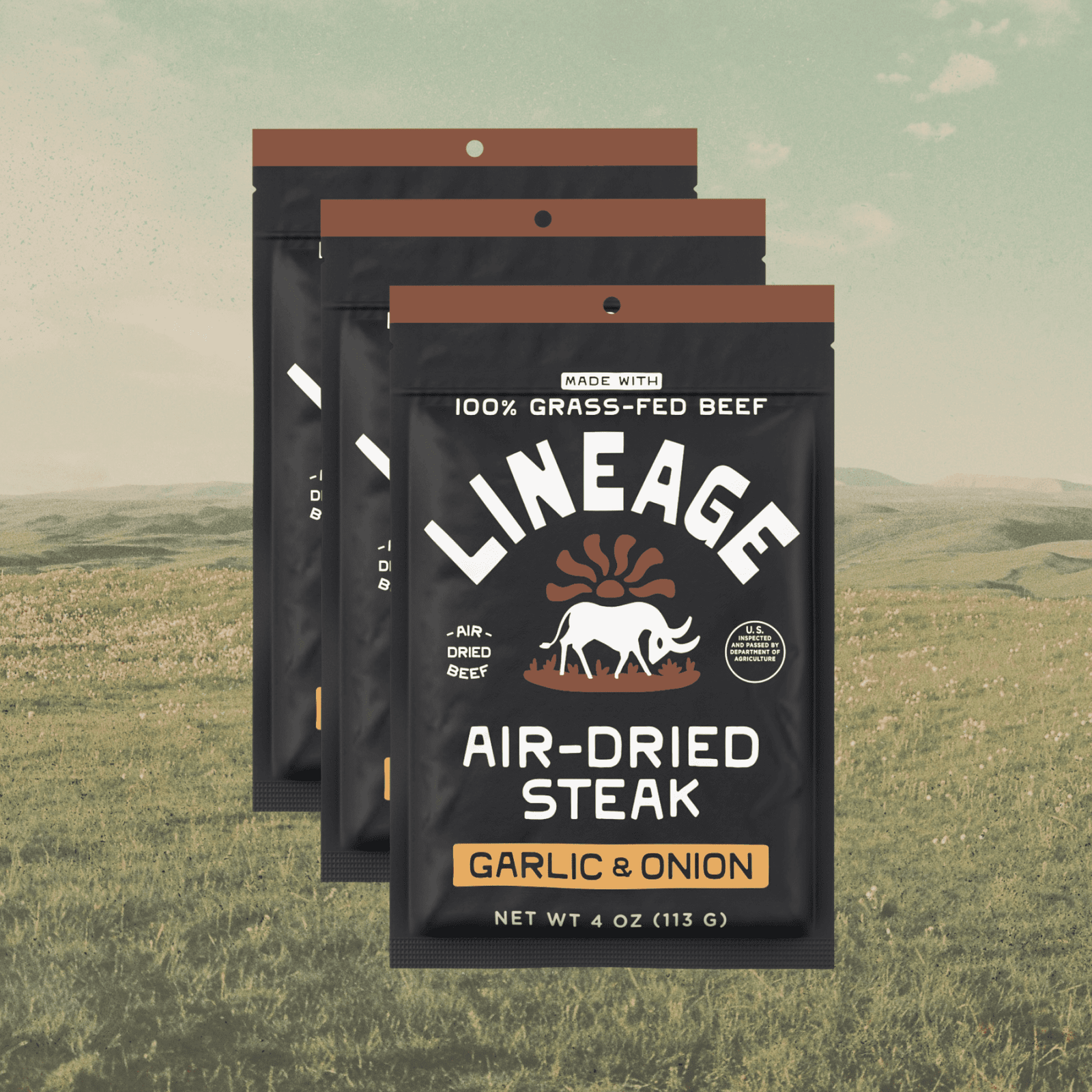 Lineage Air-Dried Steak Garlic & Onion