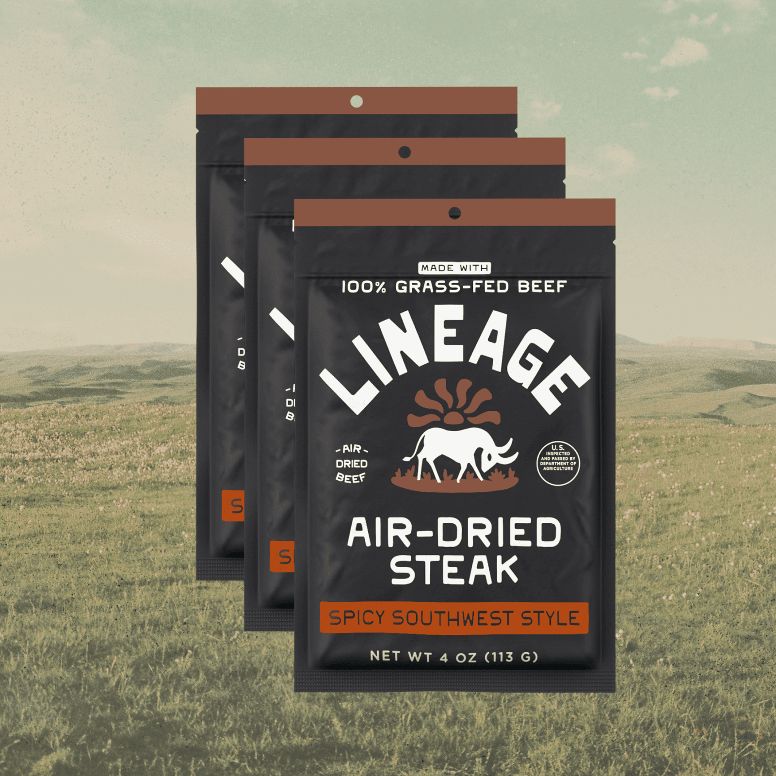Lineage Air-Dried Steak Spicy Southwest