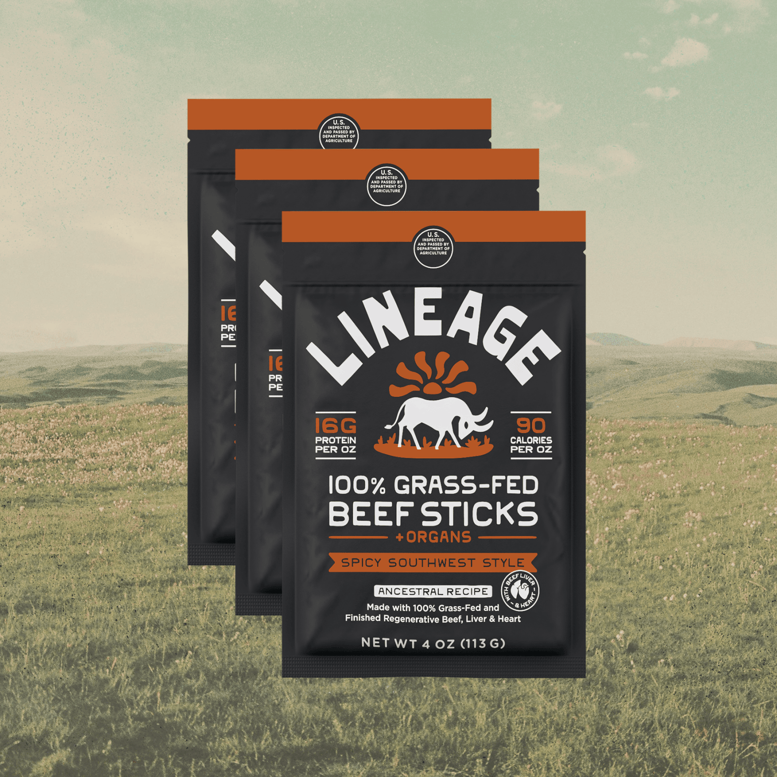 Lineage Ancestral Beef Sticks Spicy Southwest