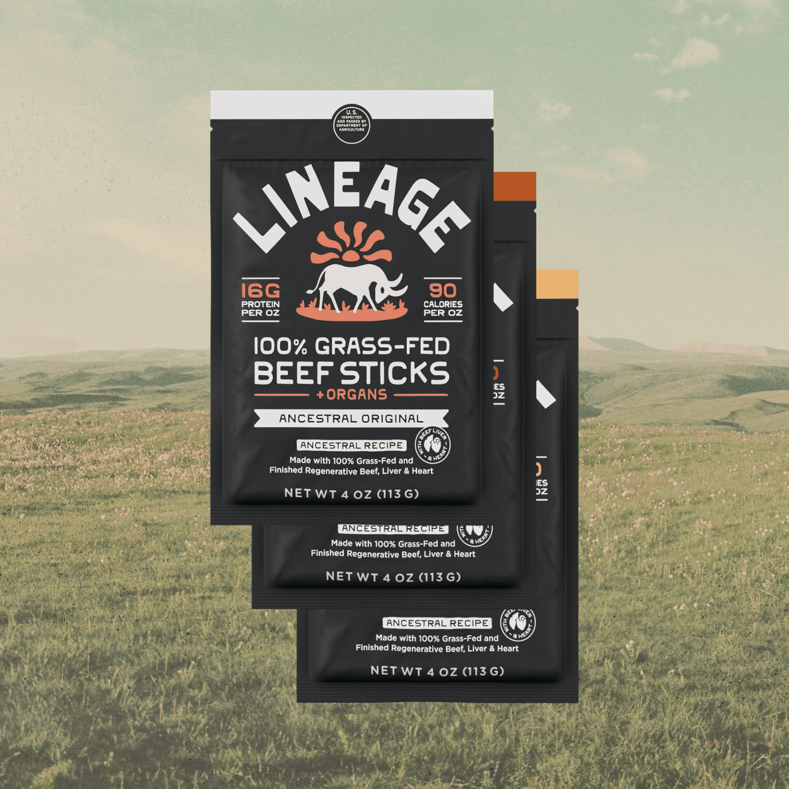 Lineage Ancestral Beef Sticks Variety Pack