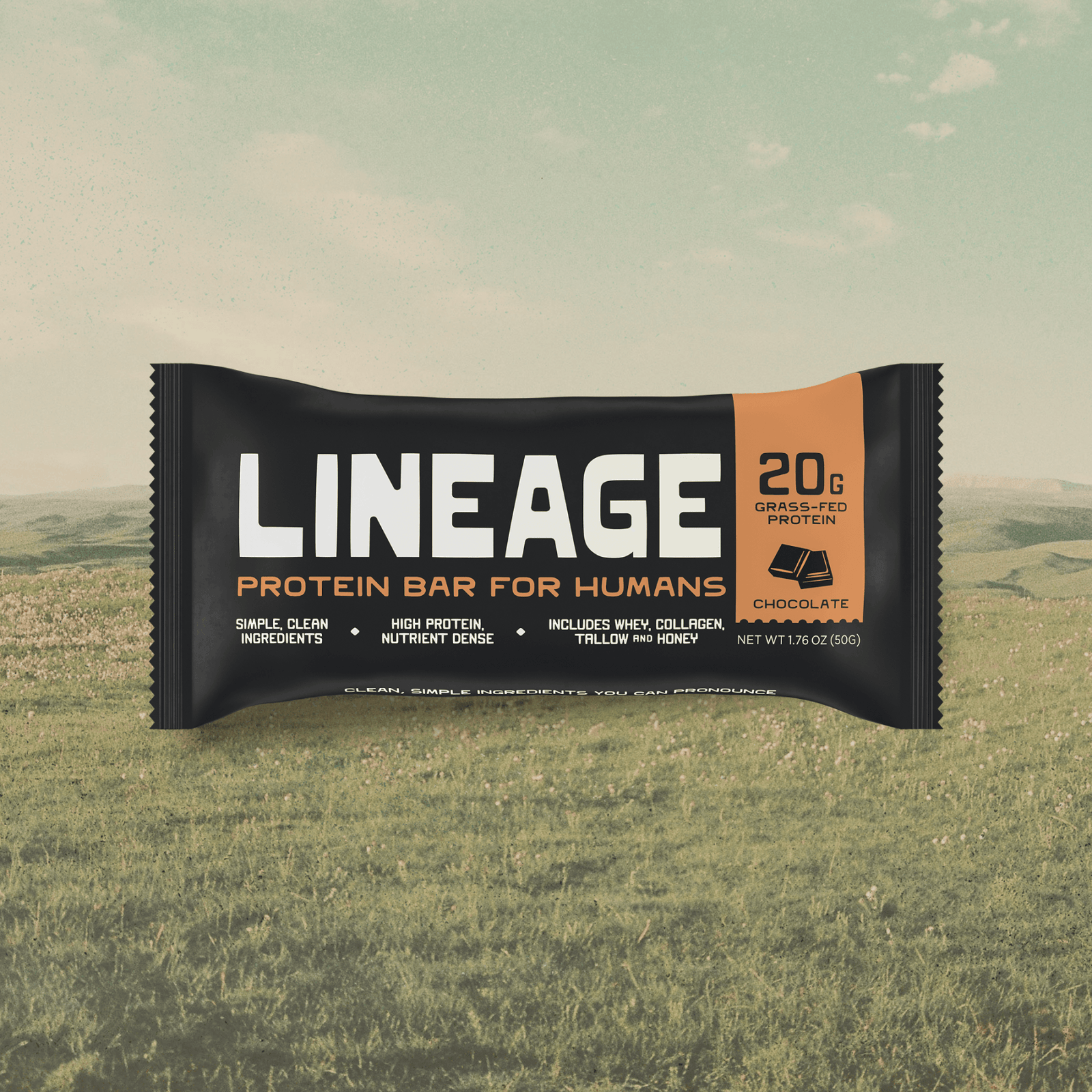 Lineage Protein Bar Chocolate - 12-pack 20g protein