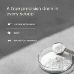 Blueprint Kreatin – Muskler & Kognition - Bild 4