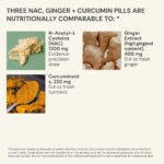 Blueprint NAC + Ingefära + Kurkumin – Inflammation & Avgiftning - Bild 3